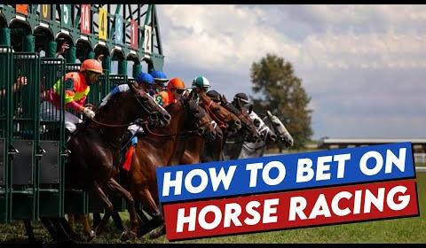 Expert Insights: Top Contenders and Betting Tips for Melton Races