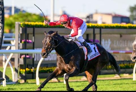 Eagle Farm Racing: Excitement Awaits with Nine Thrilling Races