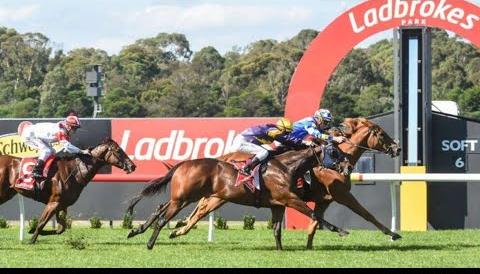 Thrilling Races Unfold at Sandown Hillside Racecourse in Victoria