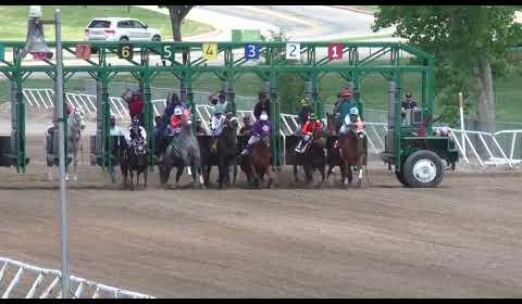 Renowned Trainer John Bassett Unveils Quarter Horse Racing Legacy